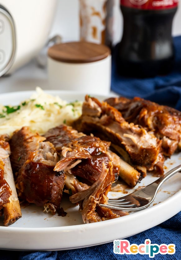 5Ingredient Slow Cooker Barbecue Ribs Sos Recipes